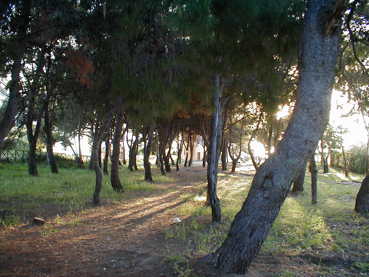 Il "parco" davanti al museo di Palinuro