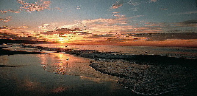 Veduta di Newport Beach - California - USA