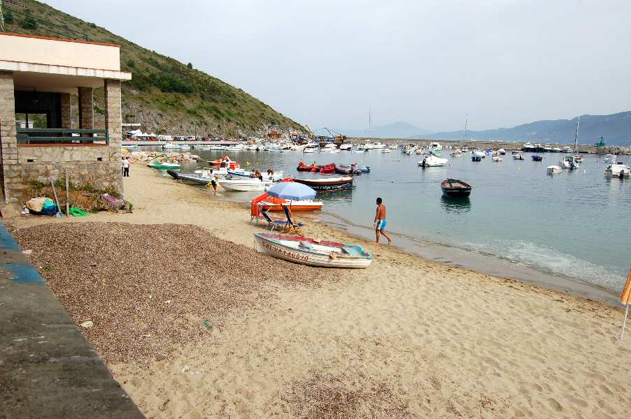 Alghe al Porto