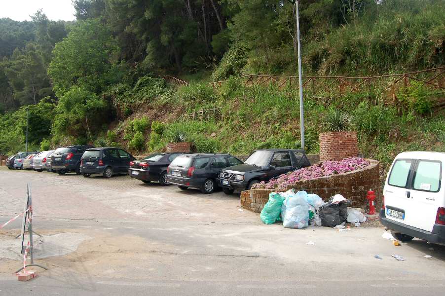 Il parcheggio del Porto: fiori e rifiuti