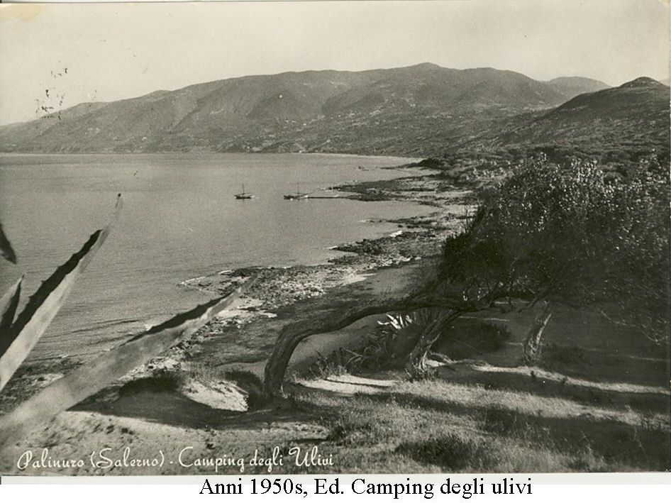Camping degli ulivi