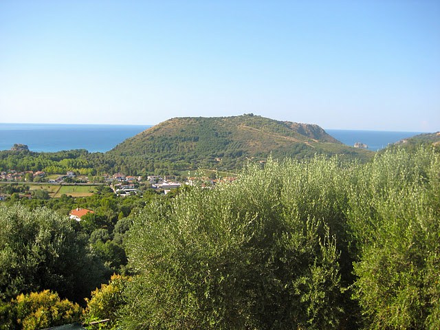 collinaMolpa