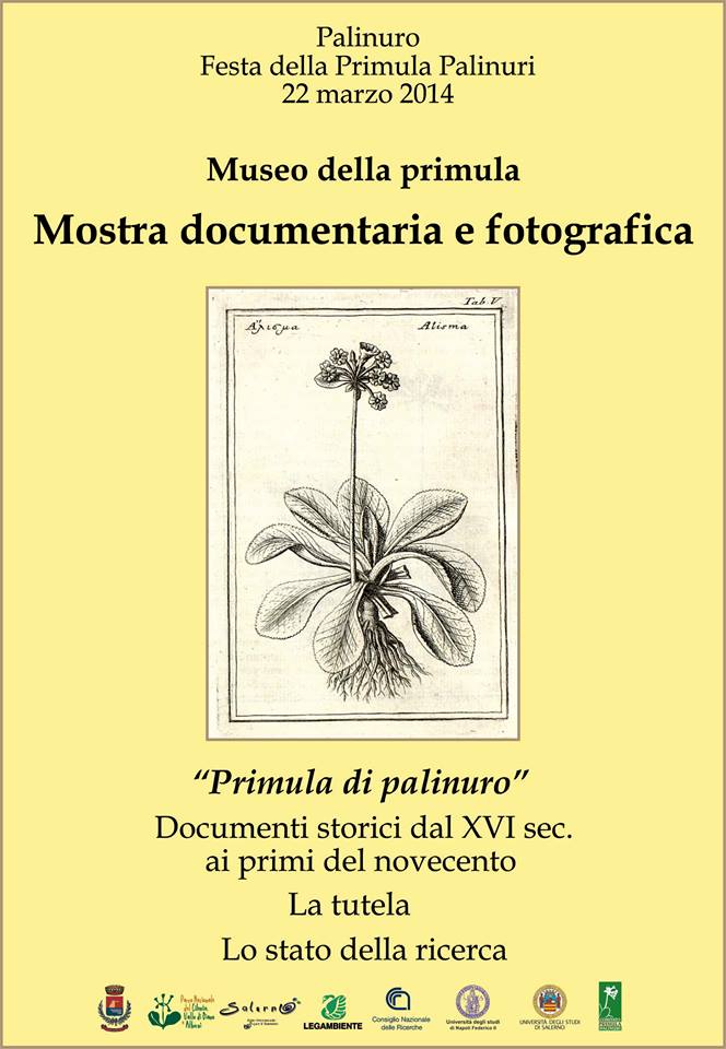 Clic per ingrandire