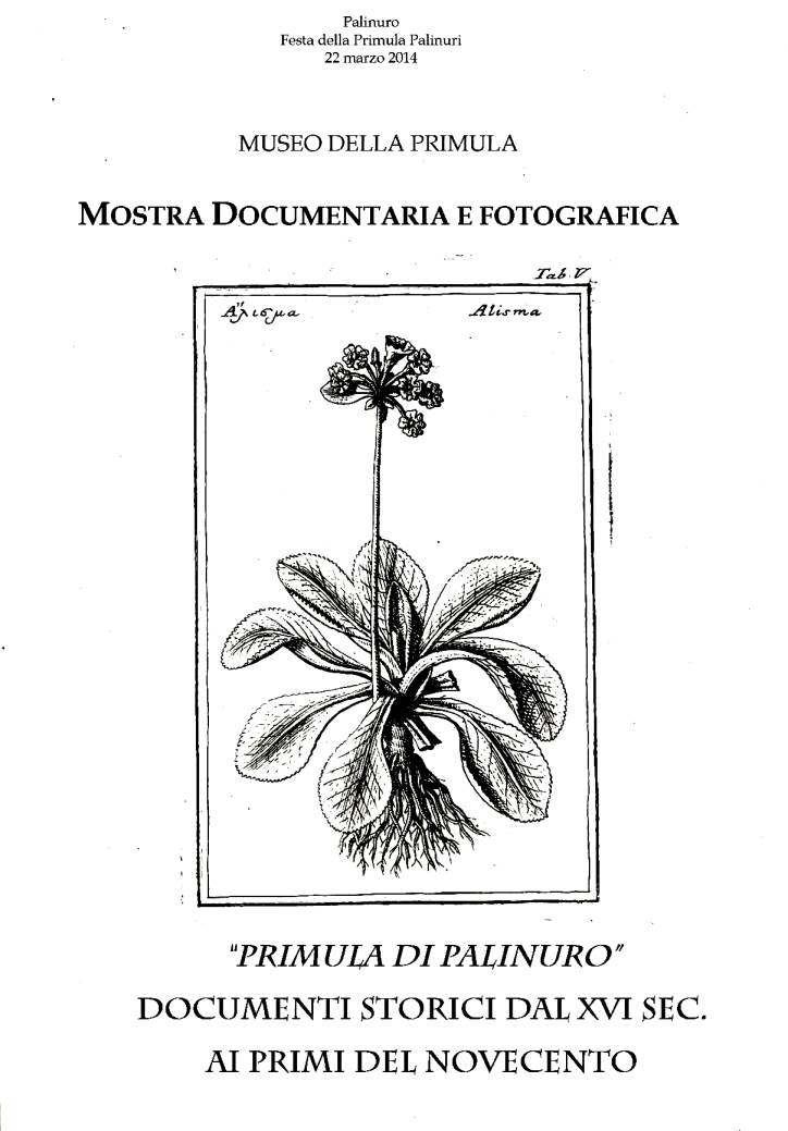 Clic per ingrandire